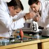 Watchmaking courses - Brussels - Image 3